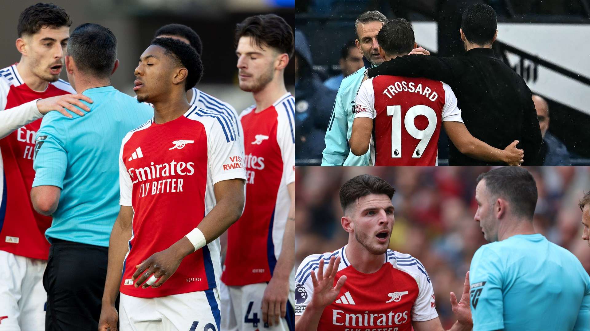 綻放光芒 綻放光芒